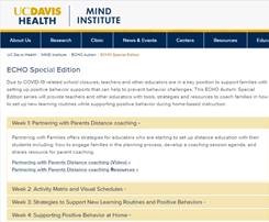 Thumbnail screenshot of EBPs for Supporting Distance Learning - Spring 2020 web page.